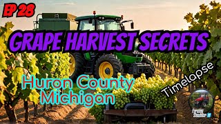 FS22 Huron County Michigan GRAPE HARVEST Secrets Revealed [upl. by Weissman328]