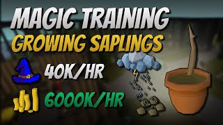 Growing Saplings 40K EXP  6000K GPHr [upl. by Sonaj]