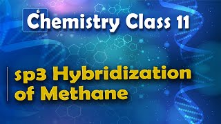 sp3 Hybridization of Methane  Nature of Chemical Bond  Chemistry Class 11 [upl. by Eckblad]