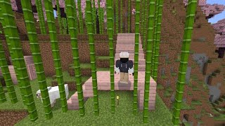 GAMERTAGBRO 8849 MY SURVIVAL WORLD TOUR worldtour minecraft survivalgame [upl. by Hafeenah]