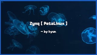 PetaLinux 13 Vivadoxsa zynq Booting APP Compile [upl. by Moulton]