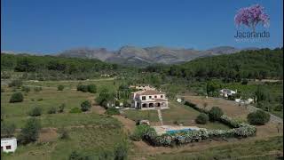 6 bedroom country property for sale Jalon Valley ❤️🇪🇸🌞🏠 [upl. by Ereveniug]