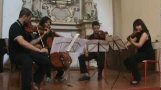 LUIGI BOCCHERINI  Quartetto in Do minore op 2 n 1 G159  Quartetto Nardini [upl. by Nosreme964]