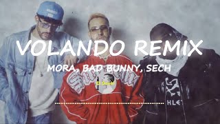 VOLANDO REMIX MORA FT BAD BUNNY SECH LETRALYRICS lyrics musica badbunny sech letras [upl. by Aihsekat]