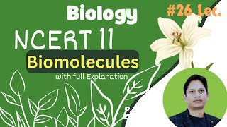 Master NCERT Class 11 Biomolecules  Chapter 9  Lec26 [upl. by Baudoin]