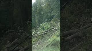 Storm damage in bland county va [upl. by Airym816]