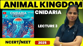 Cnidaria  Animal kingdom  Lecture 3  Suman Yadav [upl. by Corby]