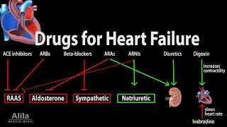 Pharmacology Drugs for Heart Failure Animation [upl. by Sug]