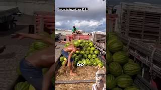 Wow  Amazing Watermelon Skills😳l sofiaelizalde46 trendingshorts viralvideo shorts subscribe [upl. by Oakman]