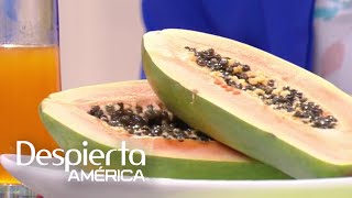 ¿El jugo de papaya es un remedio para las úlceras estomacales [upl. by Jan]