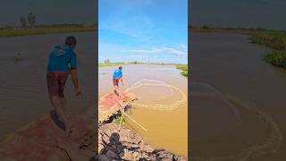 shorts 259  Catching fish throwing casting nets in river fishing castnetfishing castnetfish [upl. by Millicent]