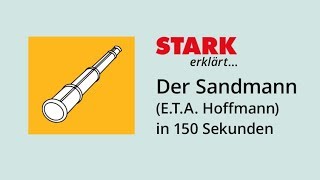 quotDer Sandmannquot ETA Hoffmann in 150 Sekunden  STARK erklärt [upl. by Brentt912]