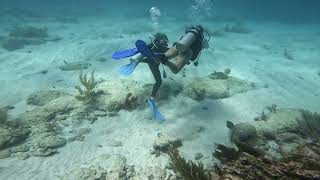 Puerto Morelos Mexico reef dive [upl. by Ecirual]