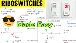 Riboswitches  Notes 😎Made easy 🤩 [upl. by Ecilef]