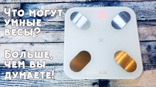 10 фактов об умных весах Picooc Mini Pro II Тест спортсмена [upl. by Tebasile]