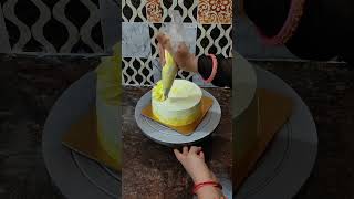 Rasmalai cake🎂trending cake youtube cakedecoration rasmalai [upl. by Yttig42]