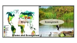 Difference Between Biome And Ecosystem Video No 632 [upl. by Nyrol]