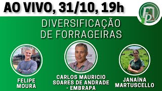 Diversificação de forrageiras [upl. by Oinotna]