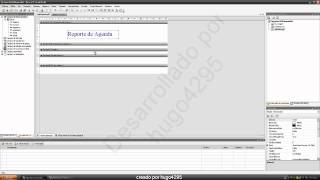 Reportes e Informes Sql Server 2008 y Visual Studio 2008 13 [upl. by Abbey]