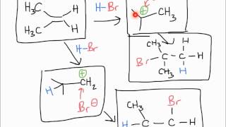 Electrophilic Addition of HX to Alkenes [upl. by Ronica]