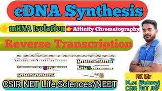 cDNA  cDNA Synthesis in hindi  mRNA Isolation  Affinity Chromatography  Reverse Transcription [upl. by Dranoel]