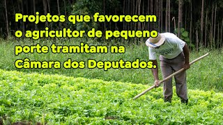 Projetos que favorecem o agricultor de pequeno porte tramitam na Câmara dos Deputados [upl. by Aneehsor857]