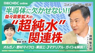 【日本株・半導体に欠かせない『超純水』関連銘柄】田嶋智太郎氏が株価をテクニカル分析／個別銘柄解説：TSMCのquot相棒quotオルガノ・野村マイクロ・栗田工・Jマテリアル・ガイシ／水処理事業は業績のブレが小さい [upl. by Yssirk]