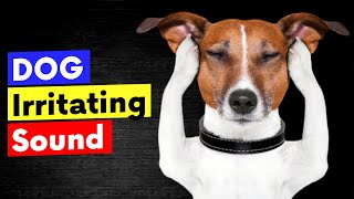 Dog Irritating Sound  Sounds that Dogs Hate to Hear [upl. by Dasa339]