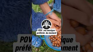 Que font ces petits écureuils  🐿🥜🌲 [upl. by Anson]