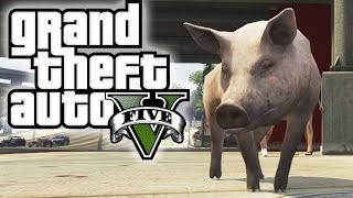 GTA 5 Animals Mod PLAY AS ANIMALS [upl. by Rhoads822]