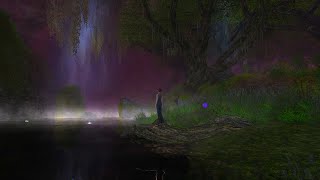 Lush Forbidden Night Woods Misty River  Atmospheric Music amp Cricket Nature Sounds  LOTRO Fishing [upl. by Marya]