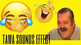 LAUGHING SOUNDS EFFECT  FUNNY VIDEOS  No Copyright [upl. by Alegnat]