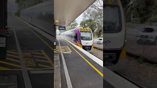 3car Vlocity passing Yarraman train [upl. by Ingelbert]