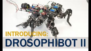 Drosophibot II a biomimetic fruit fly robot for studying the neuromechanics of legged locomotion [upl. by Elleiram993]