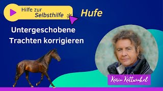 Wie korrigiere ich untergeschobene Trachten  Pferdegesundheit  Karin Kattwinkel [upl. by Hocker609]