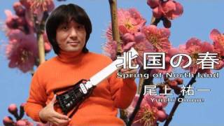 Gakken Mini Electric Guitar 北国の春Spring of Northland by Yuichi Onoue 尾上祐一 [upl. by Ettevram]