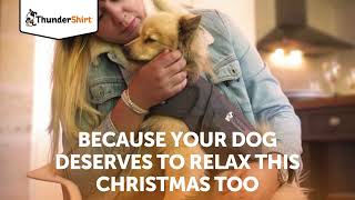 Help your dog stay calm with Christmas visitors because they deserve to relax too [upl. by Bonacci]