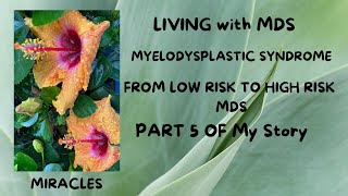 Living with MDS Myelodysplastic Syndrome Ann’s Story Part 5 New Diagnosis [upl. by Llevram]