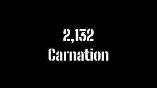 Original Music  Track 2132  Carnation [upl. by Inafetse]