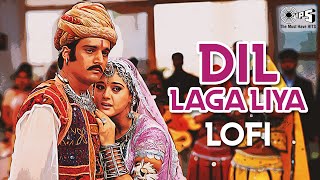 Dil Laga Liya Maine  Lofi Mix  Dil Hai Tumhaara  Alka Yagnik Udit Narayan Preity amp Arjun Rampal [upl. by Carlick173]