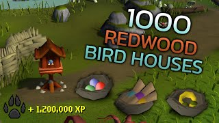 Loot From 1000 Redwood Birdhouses [upl. by Harriot]