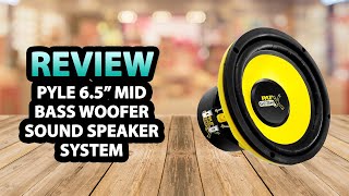 Pyle 65 Inch Mid Bass Woofer Sound Speaker System ✅ Review [upl. by Rothwell]