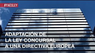 Adaptación de la Ley Concursal a una directiva europea [upl. by Koser351]