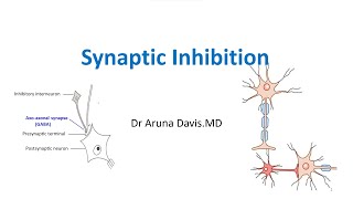 Synaptic Inhibition MBBS PHYSIOLOGY [upl. by Stine]