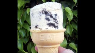 A brief history of Thrifty Ice Cream [upl. by Quartas]