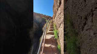 Amazing Cave Hike in Pinnacles National Park nationalparksusa [upl. by Ennovihs]