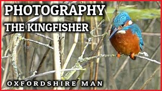 The Kingfisher  Photography [upl. by Lupita493]