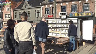 GROOTSTE DIERENMARKT VAN BELGIË  IEDERE ZONDAG IN MOL [upl. by Fidela]