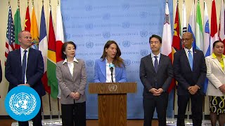 Malta amp Security Council Members on Yemen  Media Stakeout  United Nations [upl. by Aylsworth350]