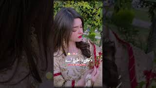 MEDY DIL UTEY MEDY SAJNA DA RAJ AEY NEW SRAIKE SLOWED REWARB SONGSHOURTSCLIP [upl. by Esilahc912]